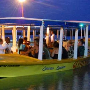 Luminous Lagoon Night Tour